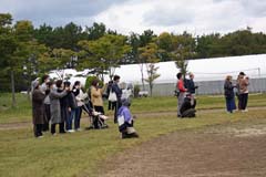 マラソン大会の様子14