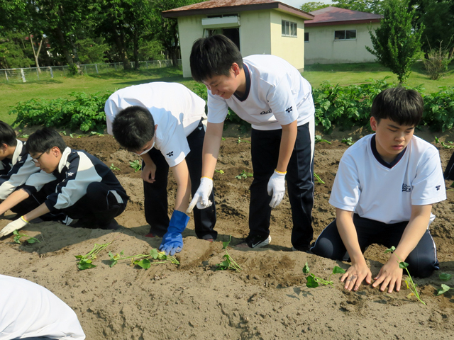 菜園活動の様子9