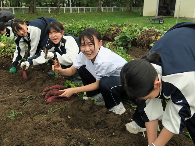 菜園活動（芋掘り）の様子1