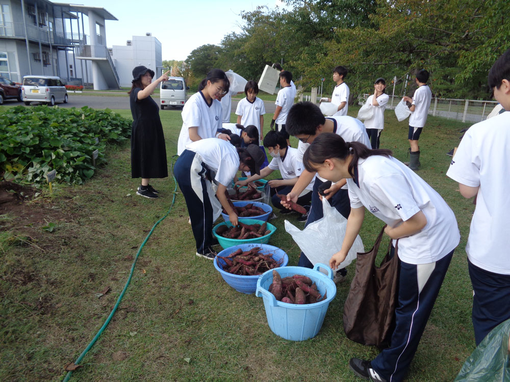 菜園活動（芋掘り）の様子9