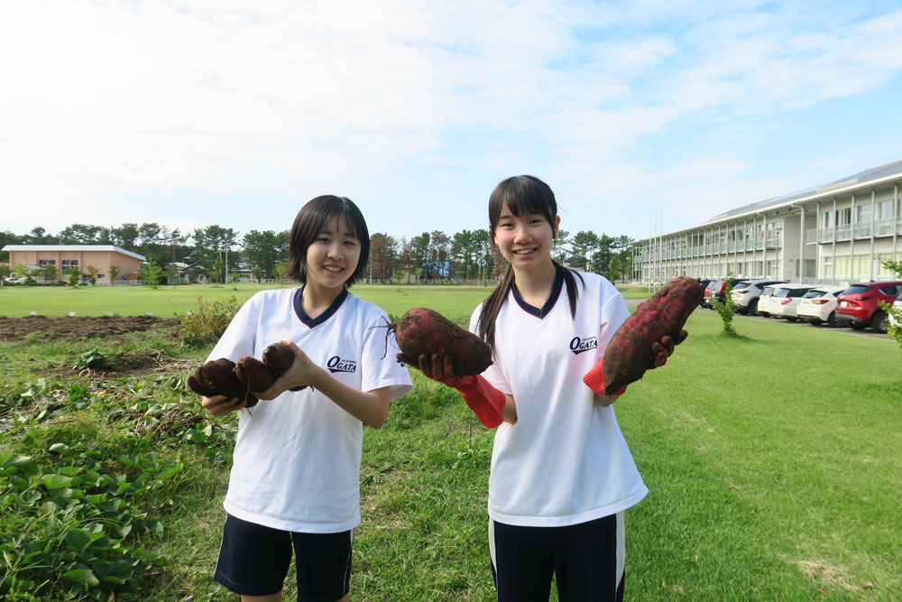 菜園活動（芋掘り）の様子8