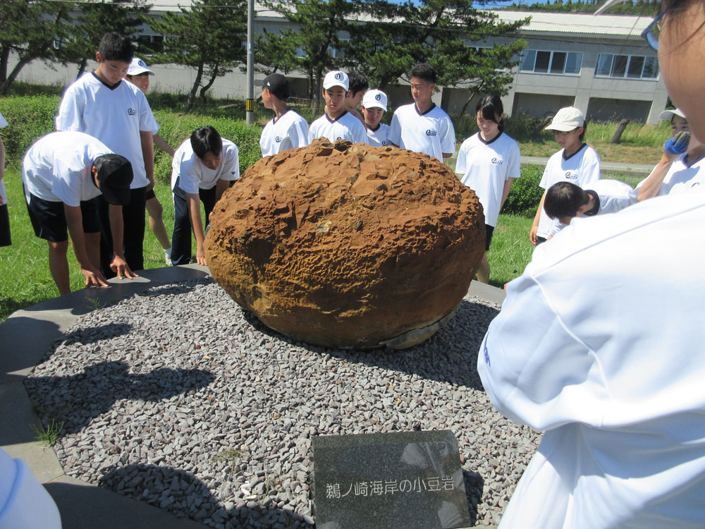 1年地層観察の様子8