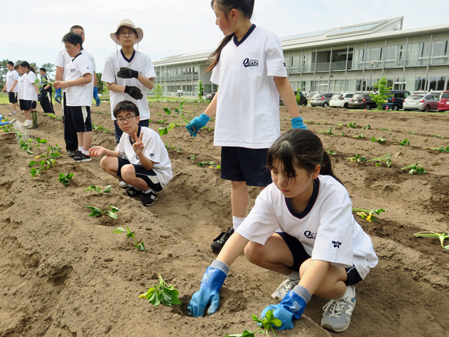 菜園活動の様子5