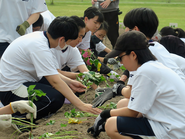 菜園活動の様子10